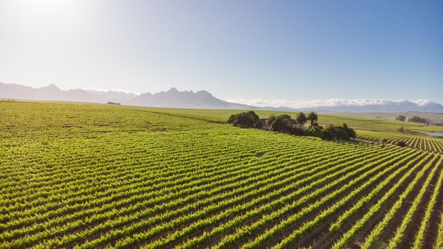 4 Bedroom Property for Sale in Lyndoch Western Cape